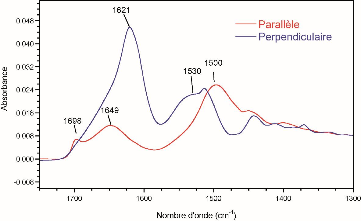 Spectres ATR polarisation