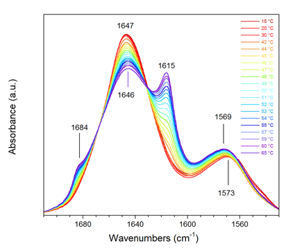 Spectres IR transmission